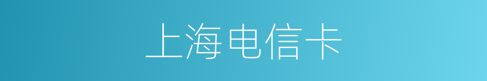 上海电信卡的同义词