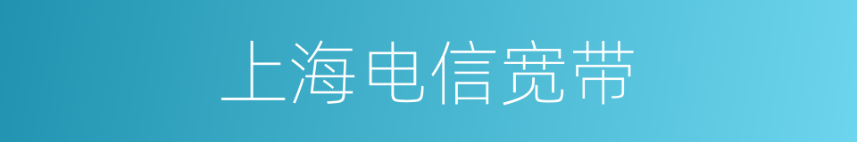 上海电信宽带的同义词