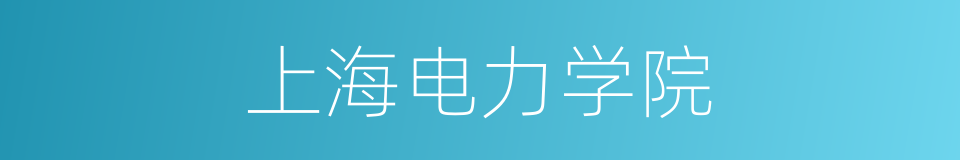 上海电力学院的同义词