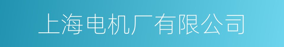 上海电机厂有限公司的同义词