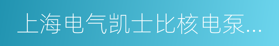 上海电气凯士比核电泵阀有限公司的同义词