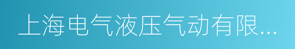 上海电气液压气动有限公司的同义词