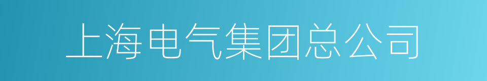 上海电气集团总公司的同义词