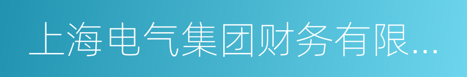 上海电气集团财务有限责任公司的同义词