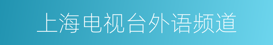 上海电视台外语频道的同义词