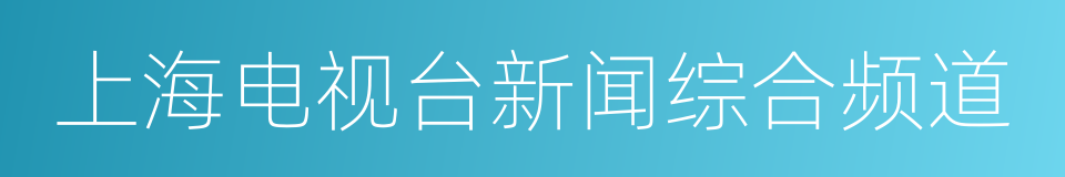 上海电视台新闻综合频道的同义词