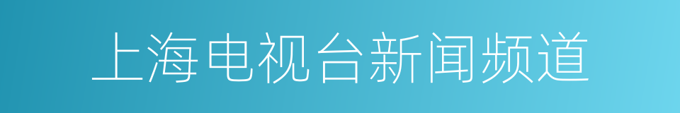 上海电视台新闻频道的同义词