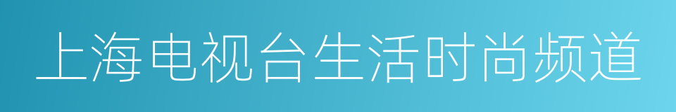 上海电视台生活时尚频道的同义词