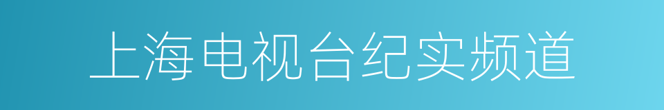 上海电视台纪实频道的同义词