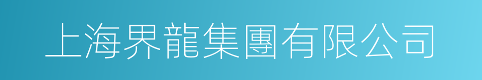 上海界龍集團有限公司的同義詞