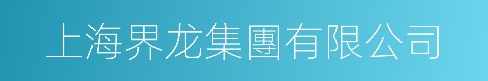 上海界龙集團有限公司的同義詞