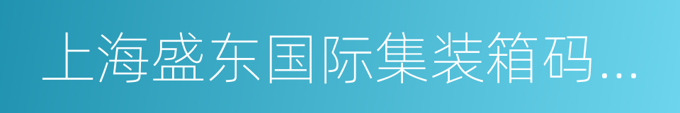 上海盛东国际集装箱码头有限公司的同义词