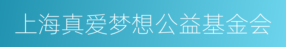 上海真爱梦想公益基金会的同义词