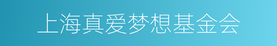 上海真爱梦想基金会的同义词