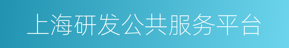上海研发公共服务平台的同义词