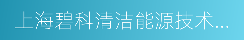 上海碧科清洁能源技术有限公司的同义词