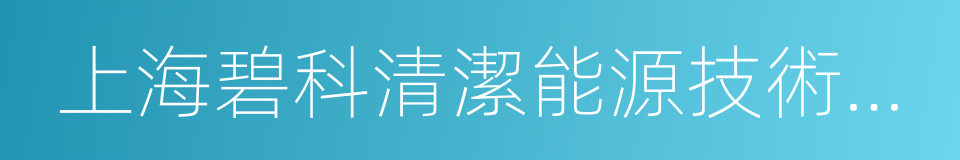 上海碧科清潔能源技術有限公司的同義詞