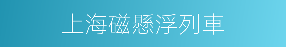 上海磁懸浮列車的同義詞
