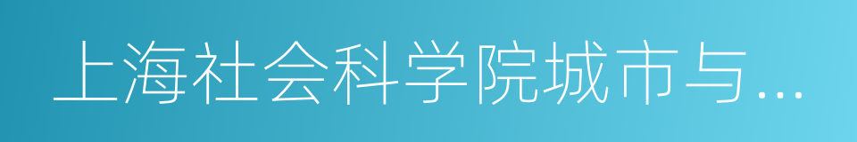 上海社会科学院城市与人口发展研究所的同义词