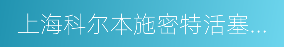 上海科尔本施密特活塞有限公司的同义词