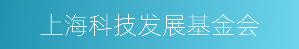 上海科技发展基金会的同义词