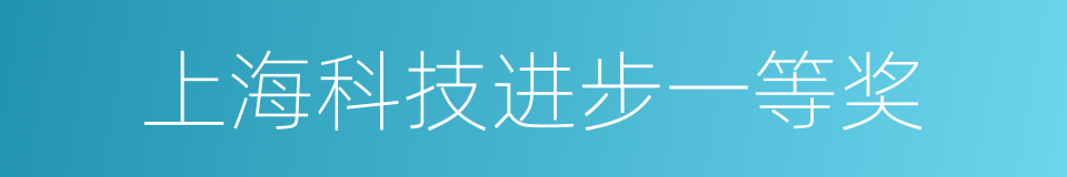 上海科技进步一等奖的同义词