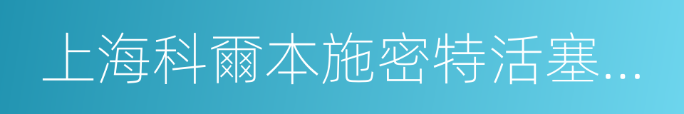 上海科爾本施密特活塞有限公司的同義詞