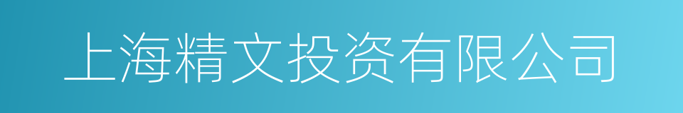 上海精文投资有限公司的同义词