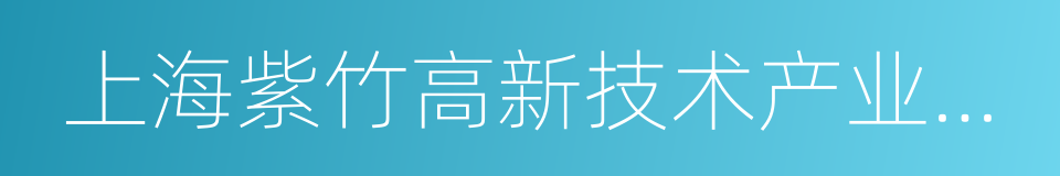 上海紫竹高新技术产业开发区的同义词