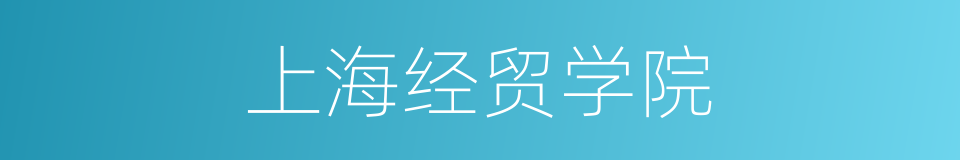 上海经贸学院的同义词