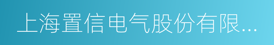 上海置信电气股份有限公司的同义词