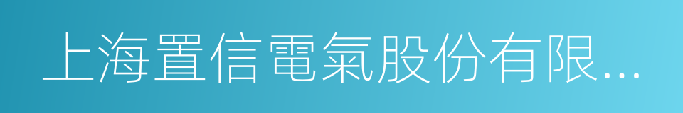 上海置信電氣股份有限公司的同義詞