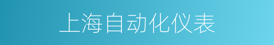上海自动化仪表的同义词