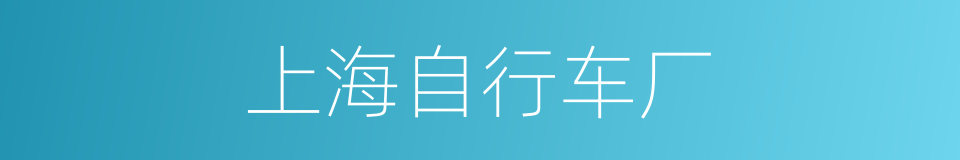 上海自行车厂的同义词