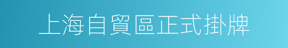 上海自貿區正式掛牌的同義詞