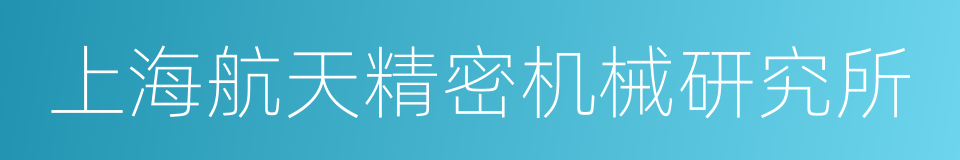 上海航天精密机械研究所的同义词