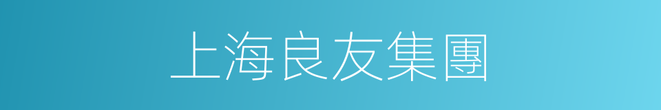 上海良友集團的同義詞