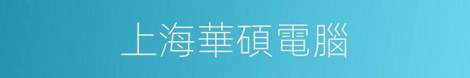 上海華碩電腦的同義詞