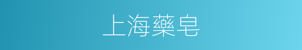上海藥皂的同義詞
