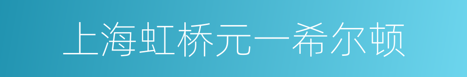 上海虹桥元一希尔顿的同义词