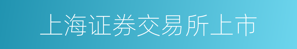 上海证券交易所上市的同义词