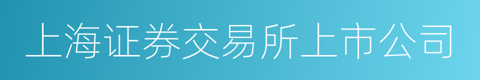 上海证券交易所上市公司的同义词