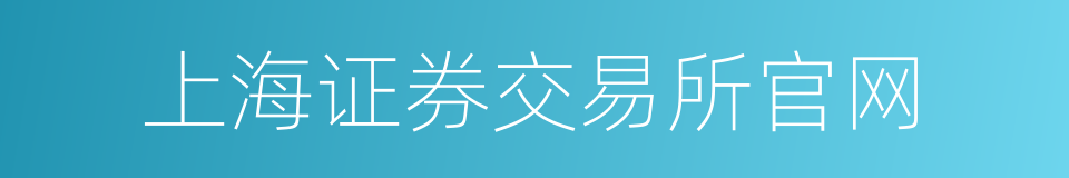 上海证券交易所官网的同义词