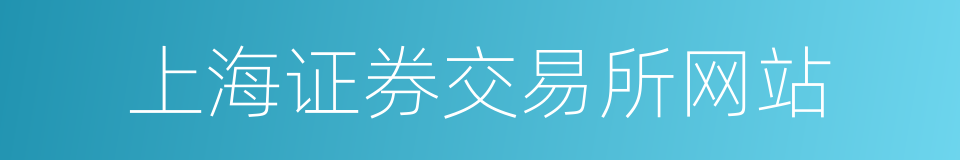 上海证券交易所网站的同义词