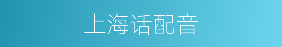 上海话配音的同义词