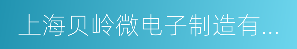 上海贝岭微电子制造有限公司的同义词