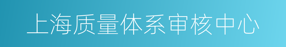 上海质量体系审核中心的同义词