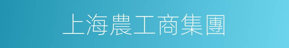 上海農工商集團的同義詞