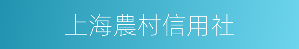 上海農村信用社的同義詞