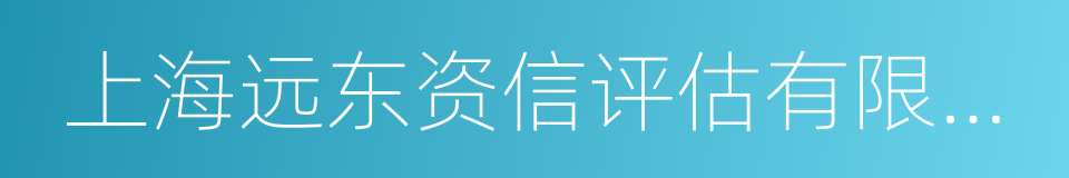 上海远东资信评估有限公司的同义词